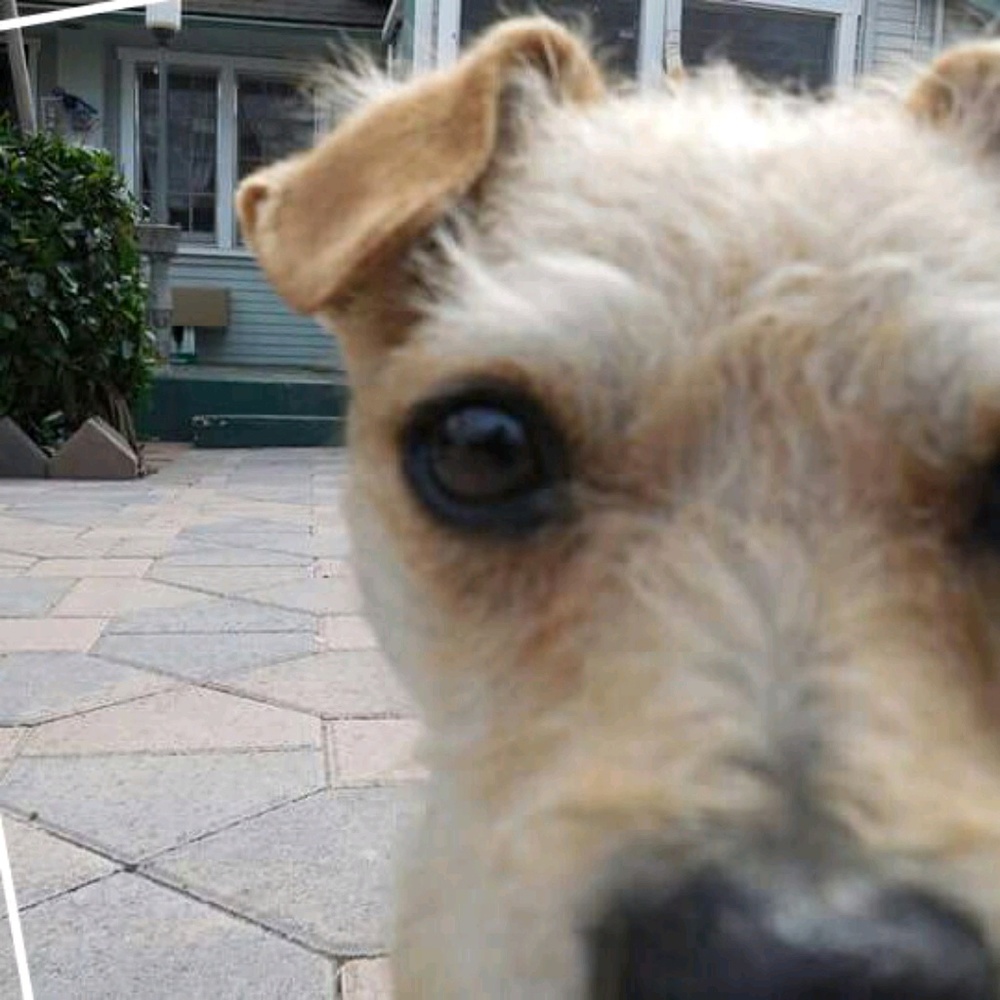 Meet your Posher, Ana